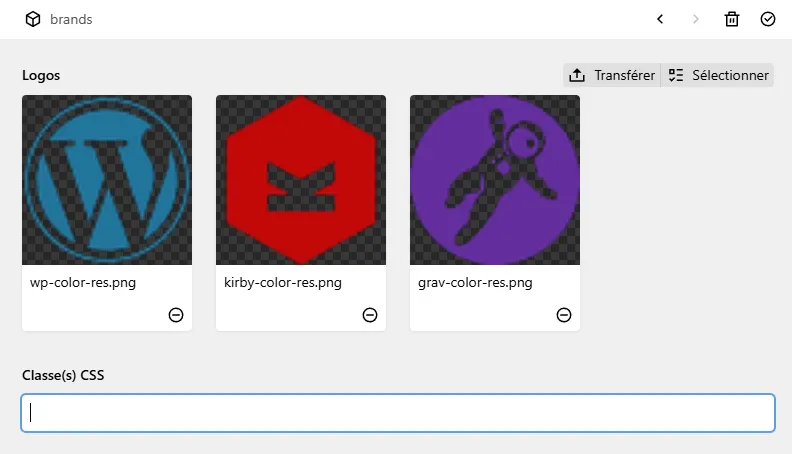 Panneau de configuration du bloc "brands"